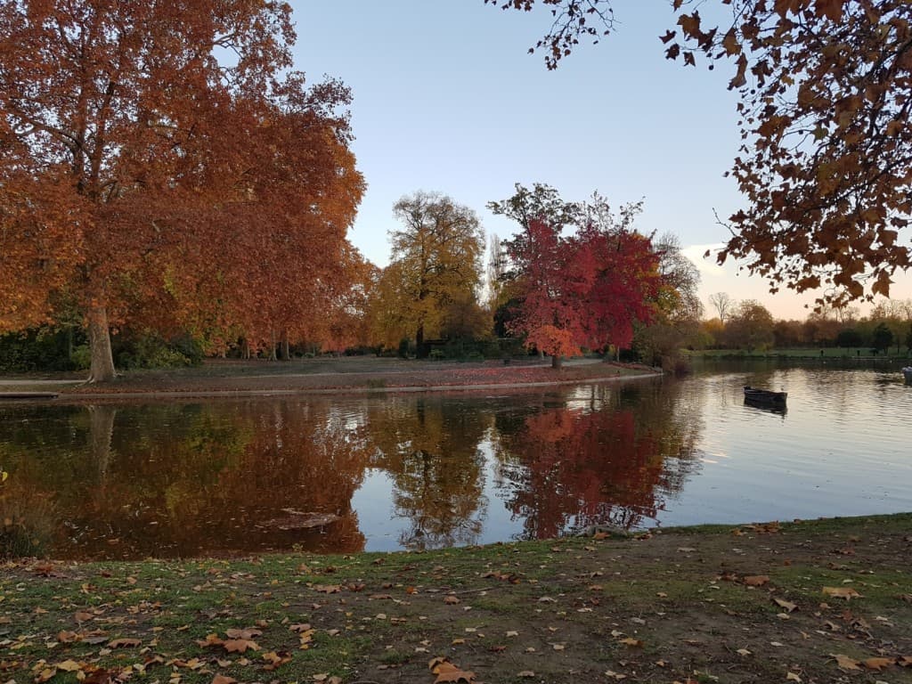 Couleur d'automne 