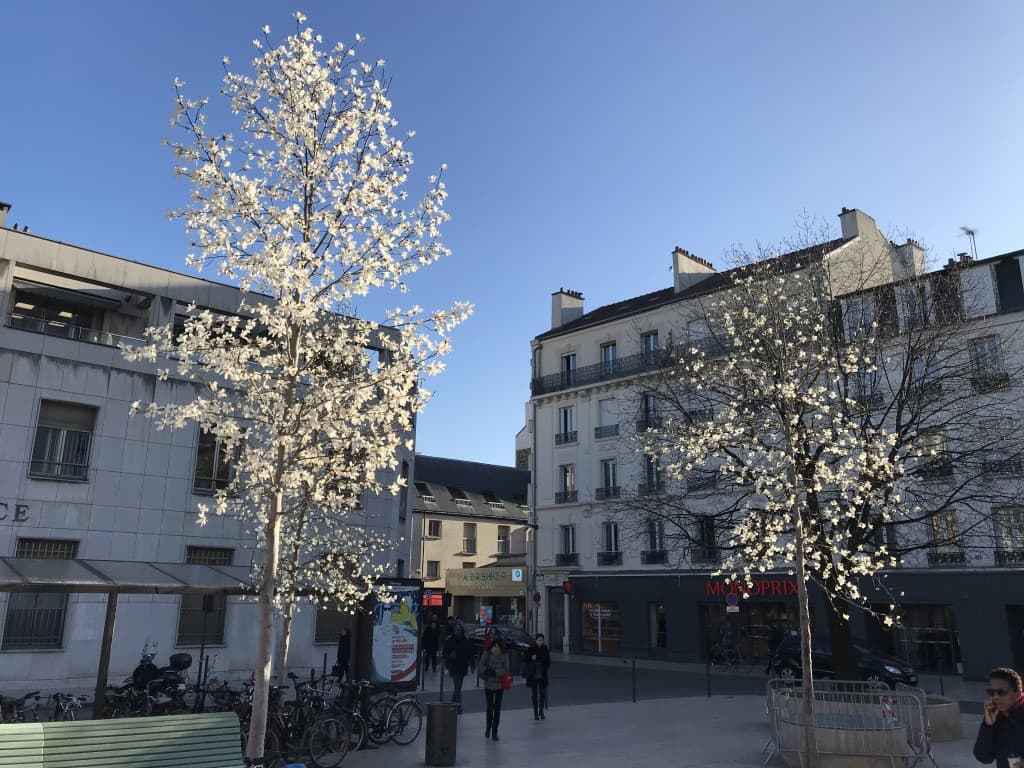 Et pourtant il est là le printemps!