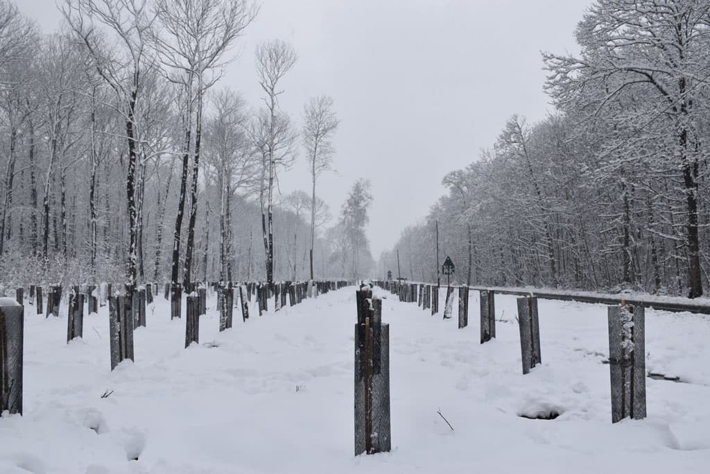 Forêt de Montmorency