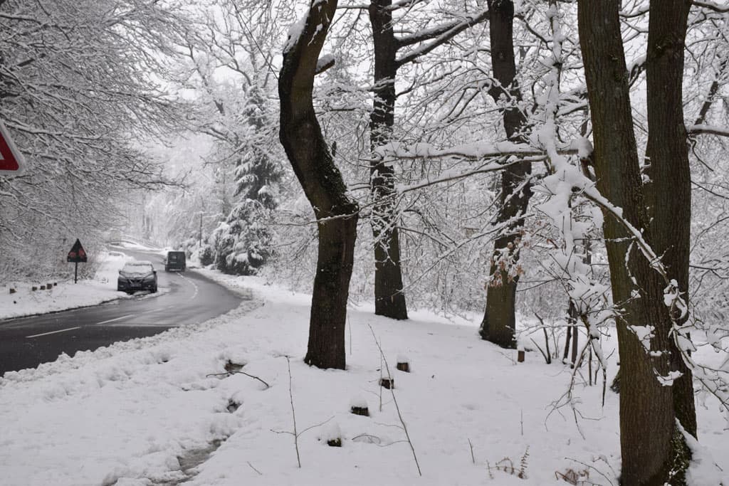 Forêt de Montmorency