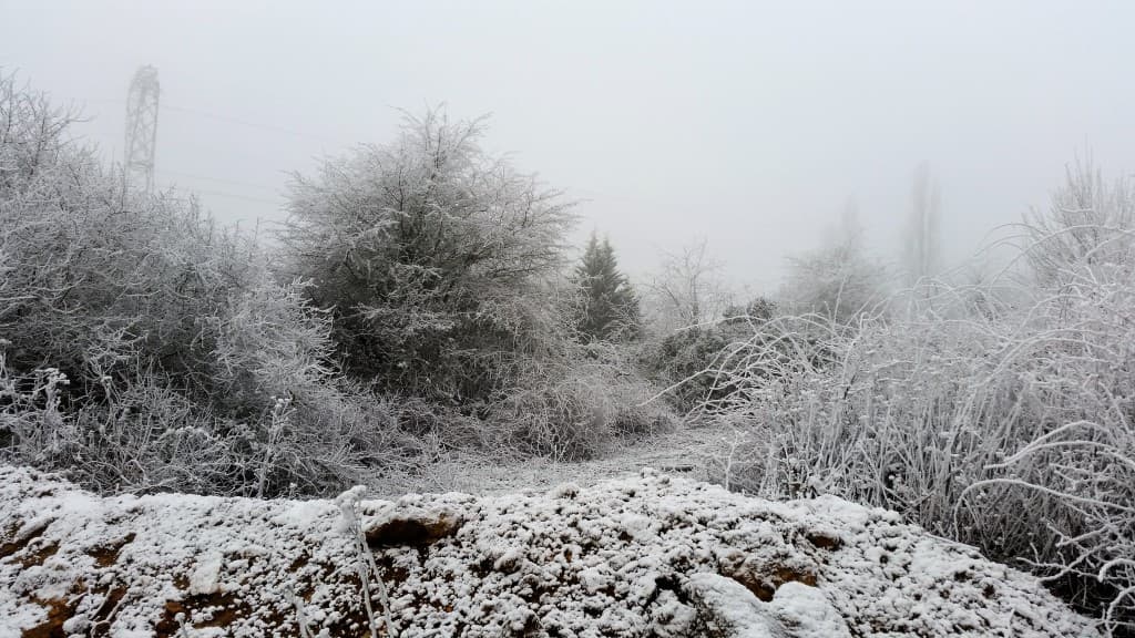 Givre en vallée de l'orge