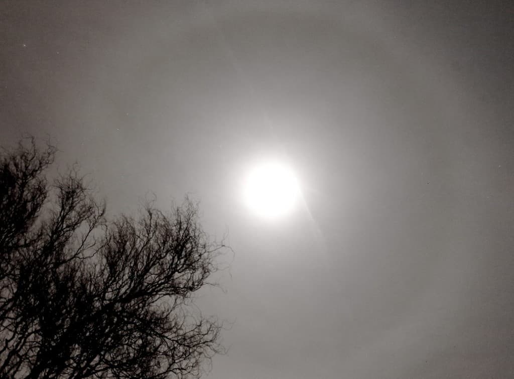 Halo lunaire de 22° de rayon