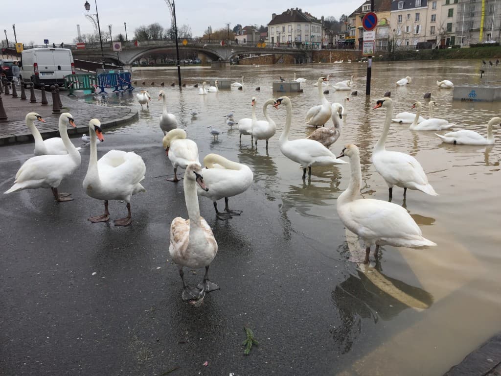inondation marne