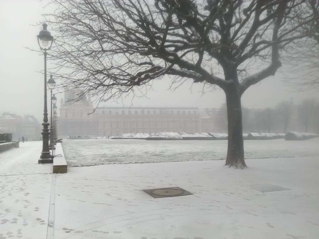 Jardin des Tuileries