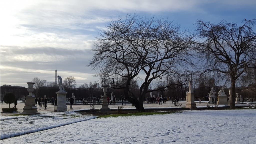 Jardins des Tuileries 