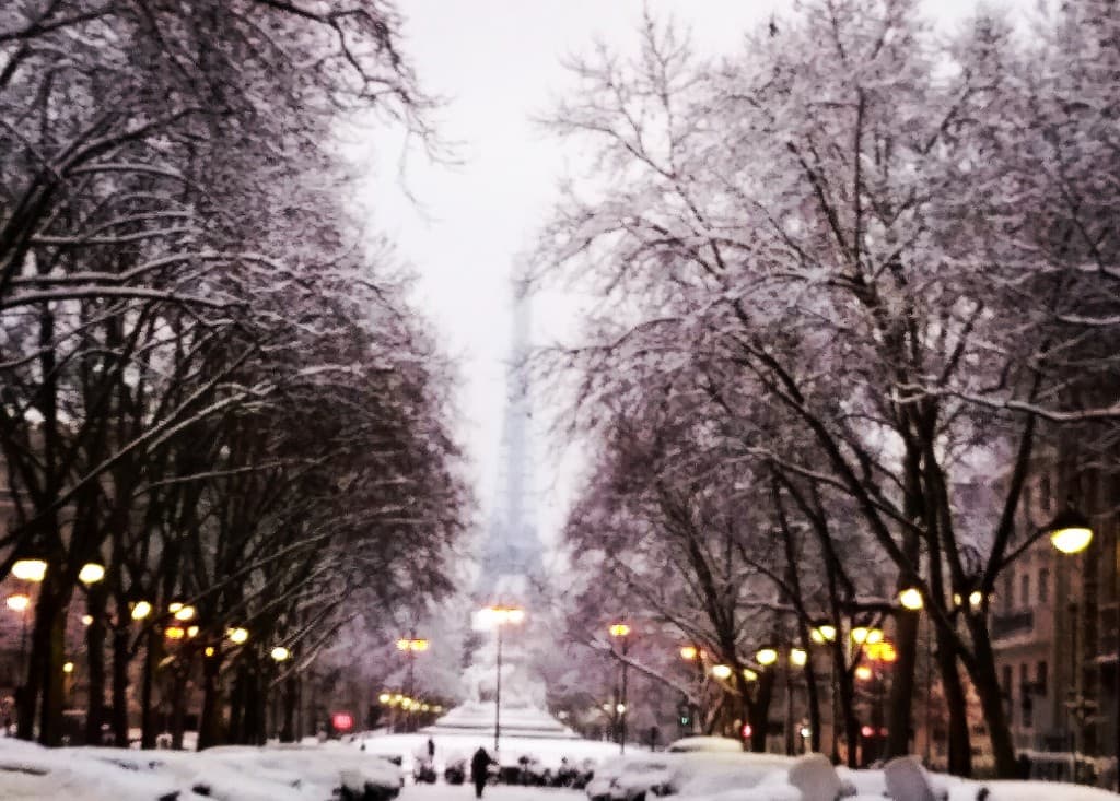 L'avenue de Saxe 