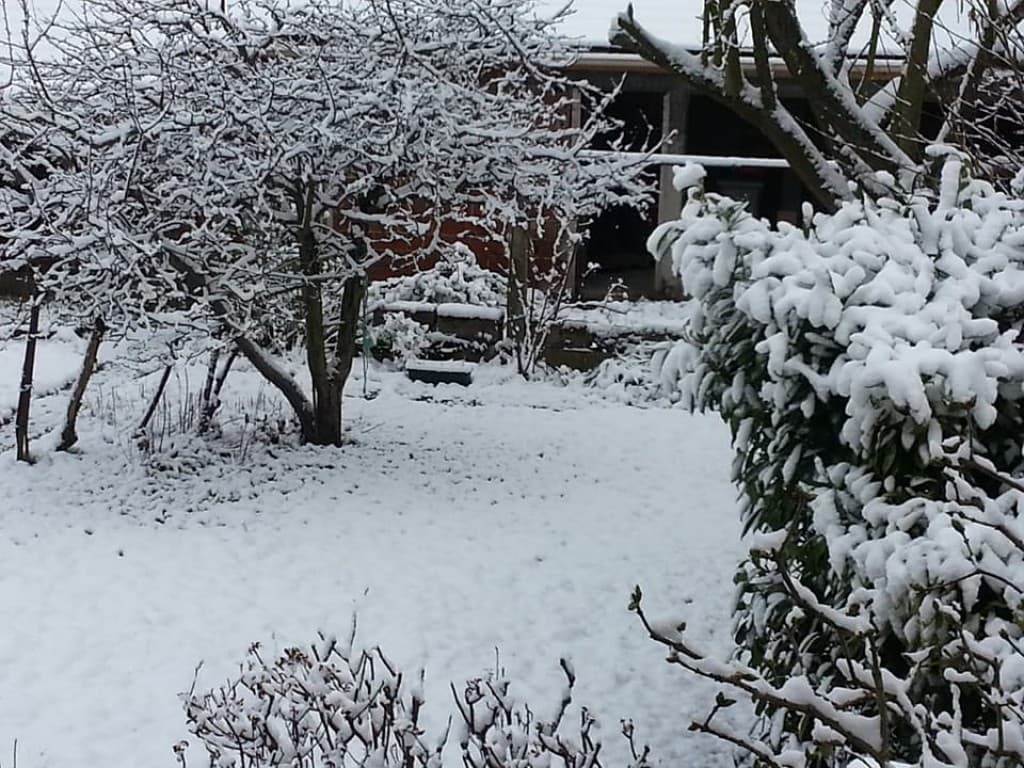 le jardin de neige