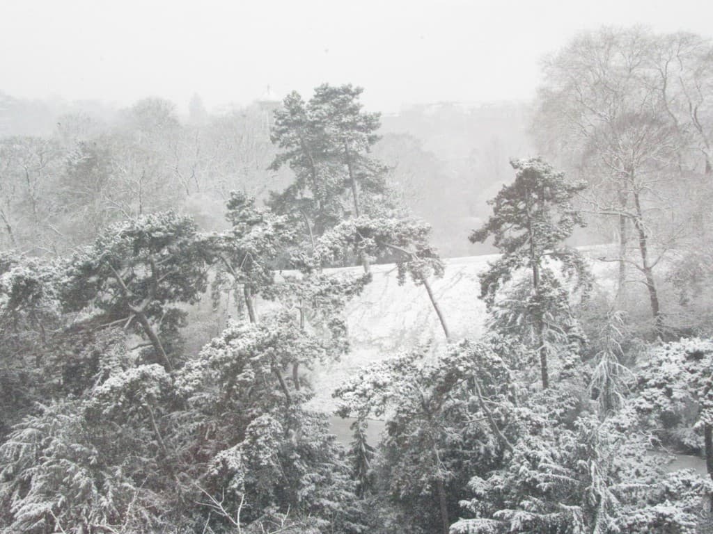 le parc enchanté