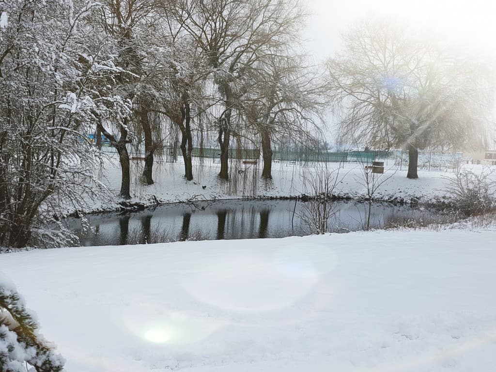 Le parc enneigé