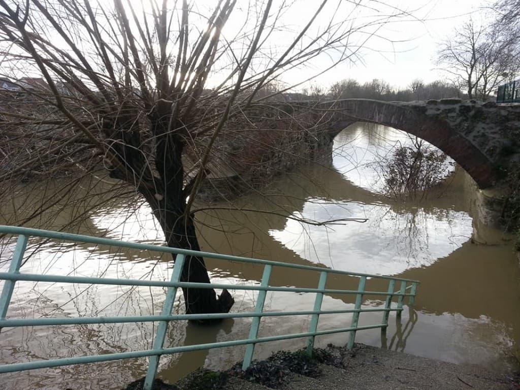 Le vieux moulin 