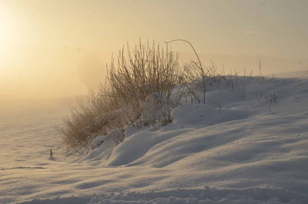Lever de soleil sur la neige