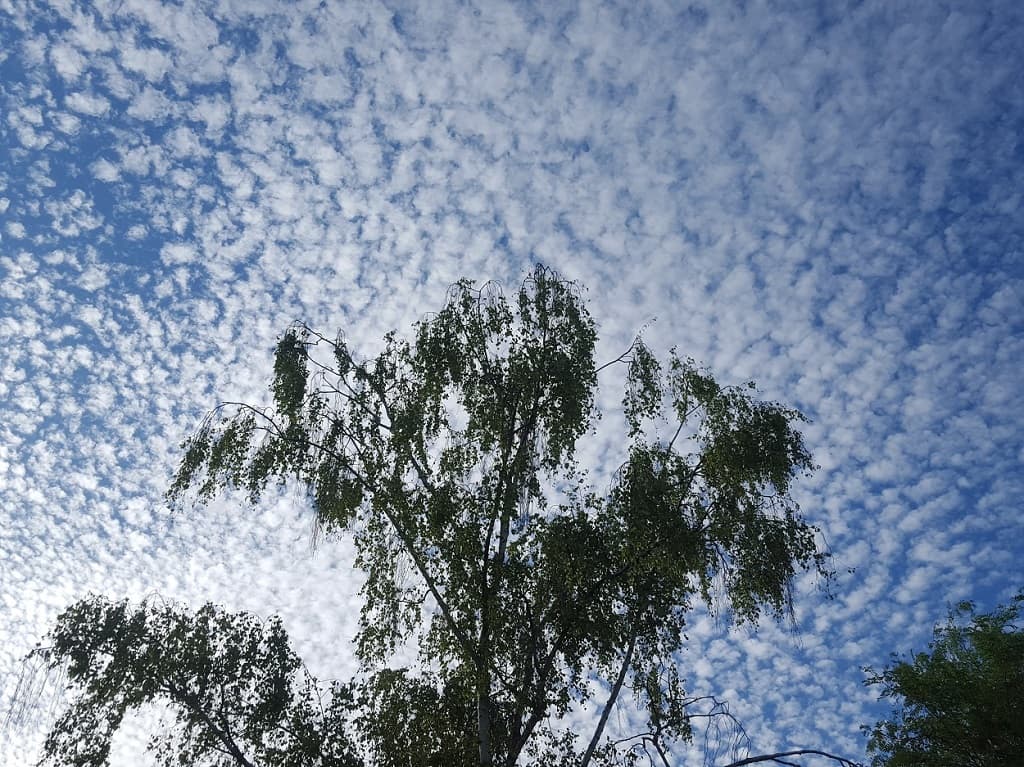 Magnifique ciel pommelé