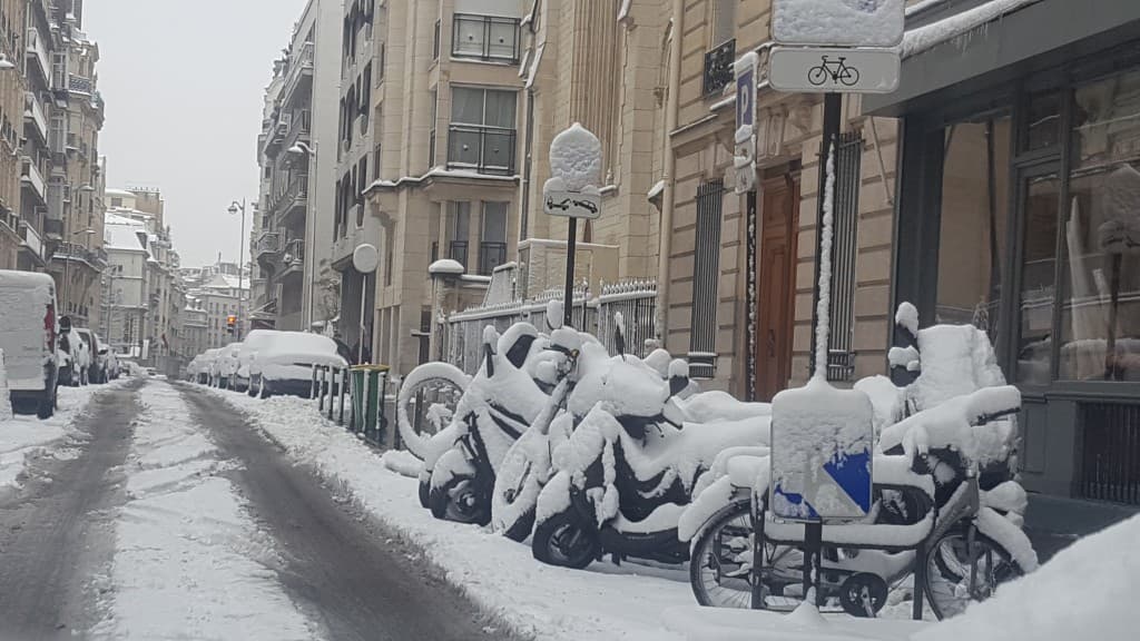 Manteau neigeux parisien