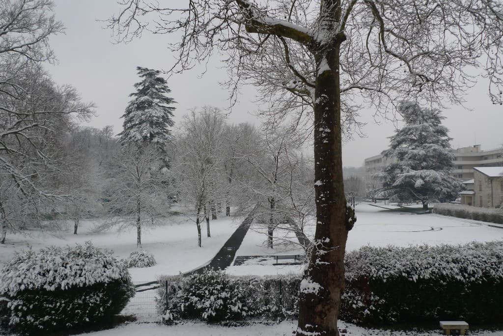 Matin enneigé