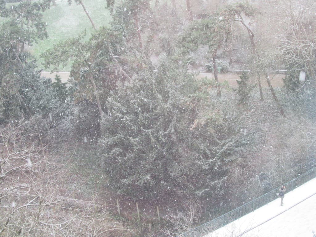 neige aux buttes de chaumont de  Paris