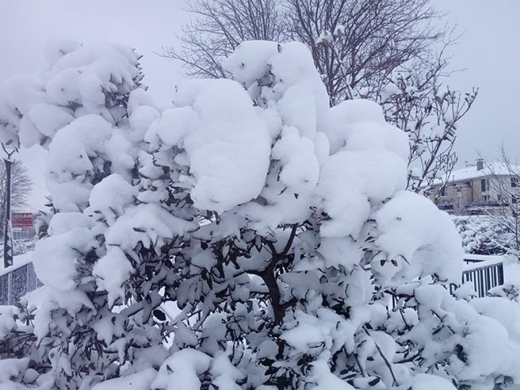 neige du 94