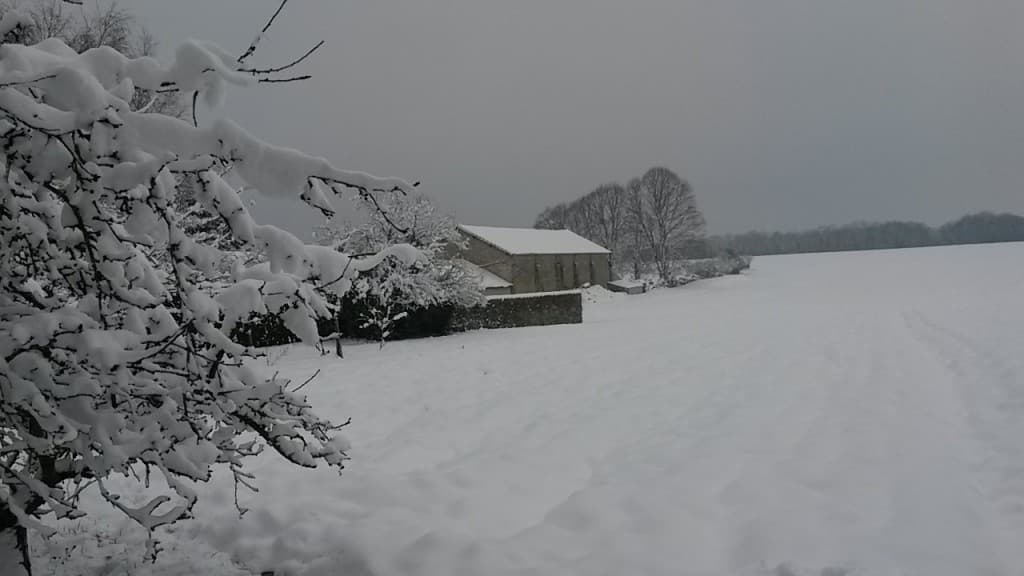 neige eternelle