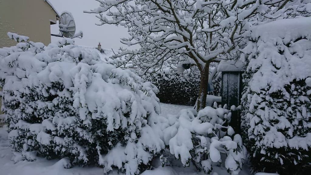 Neige fraiche 