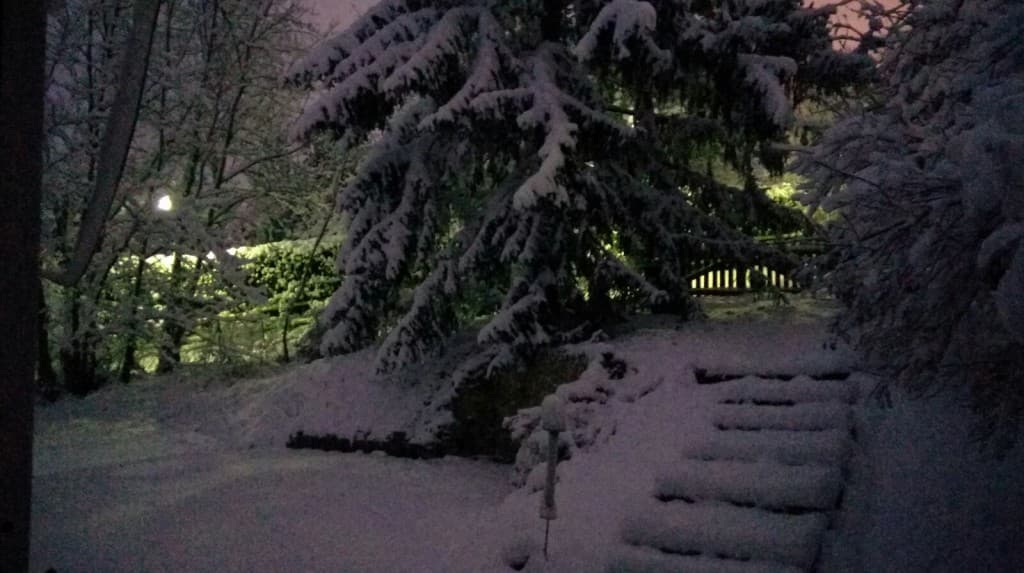 Neige matinale