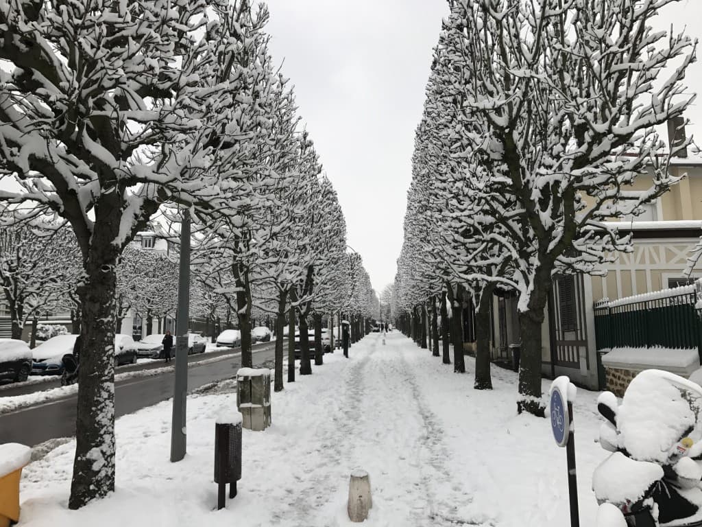 Neige matinale