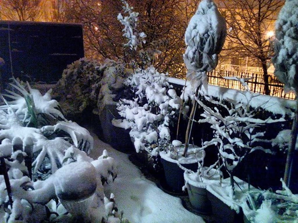 neige sur villeneuve le roi
