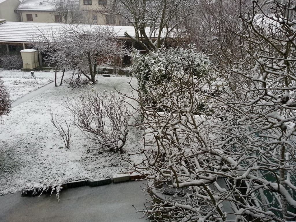 Neige 