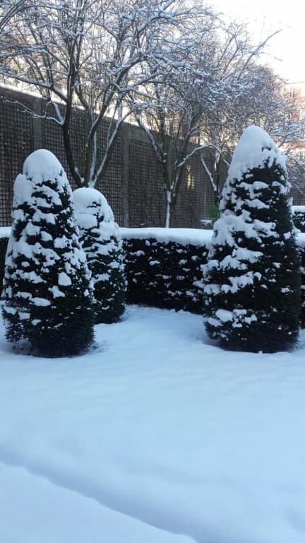 neige ,