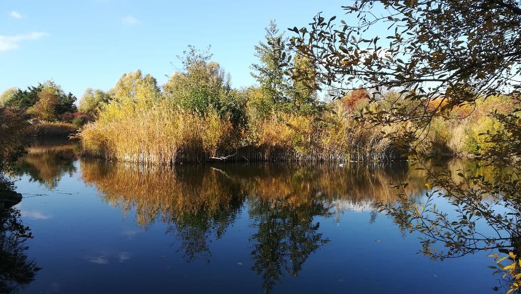 Parc des Chanteraines