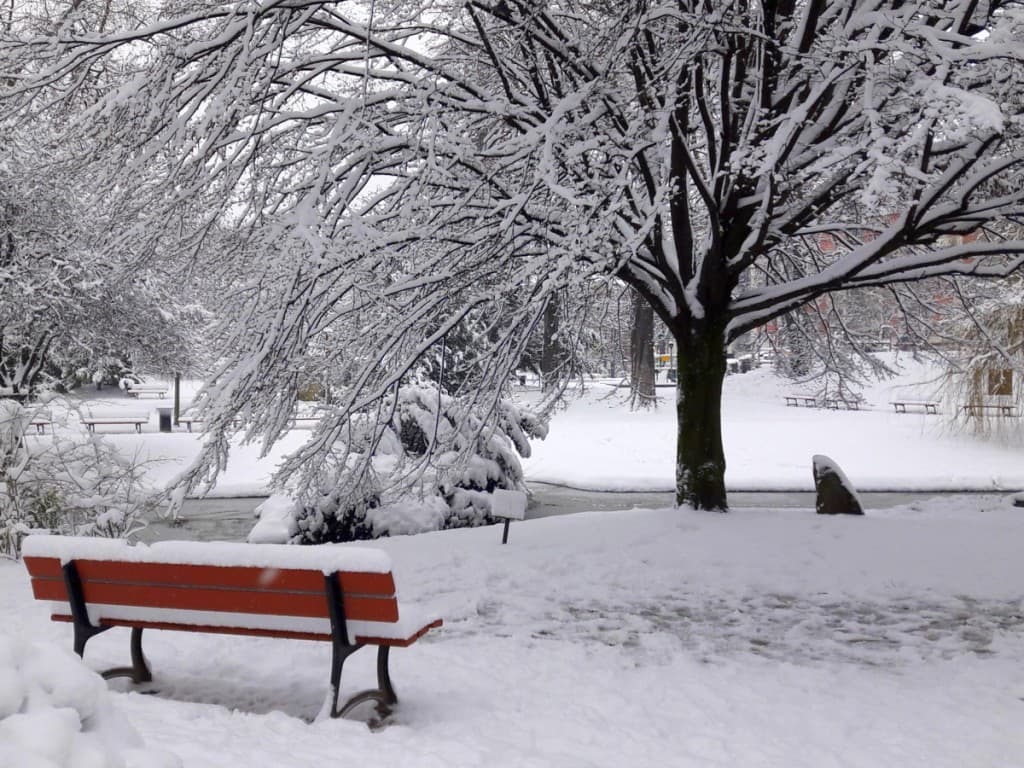 Parc Salengro...