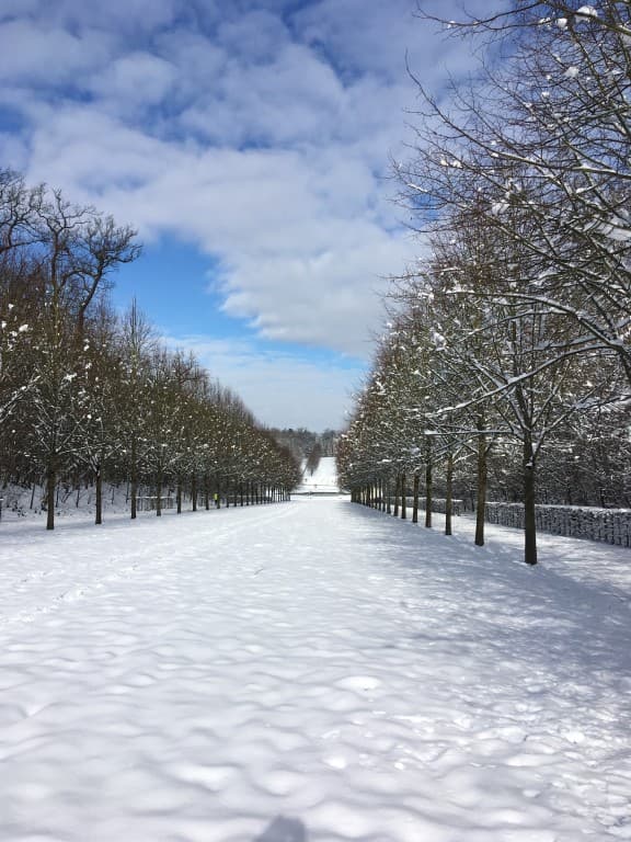 Parc st cloud neige et soleil