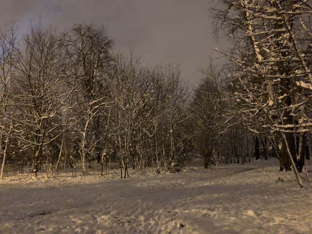 paris bois de boulogne wt