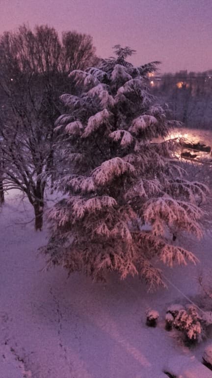 Petit matin