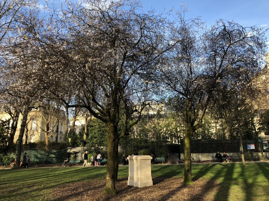 printemps avant l'heure