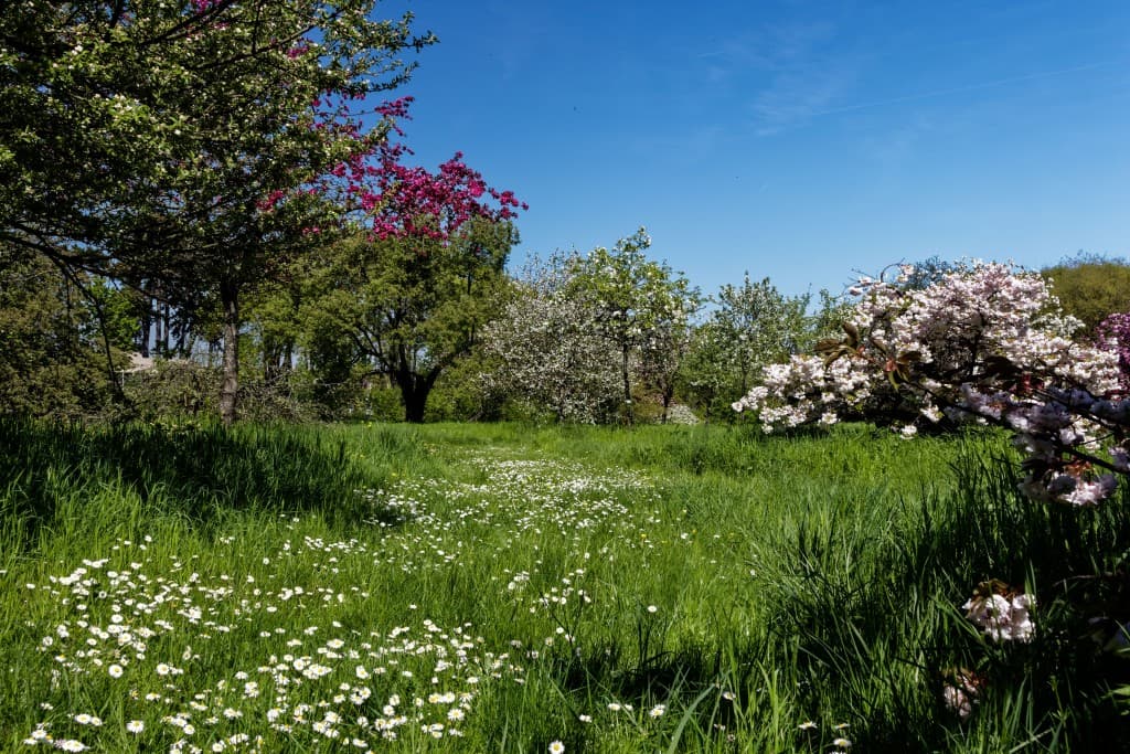 Printemps