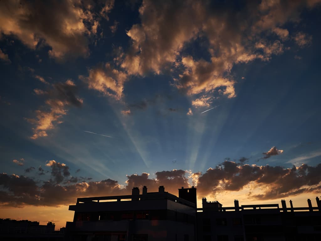 Rayons