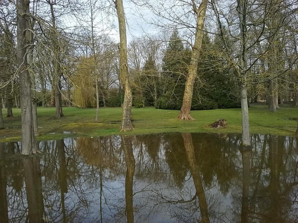 Reflets au parc.
