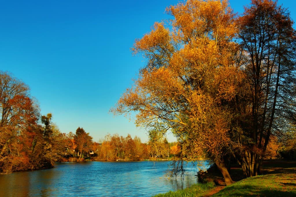 sur le bord de Marne