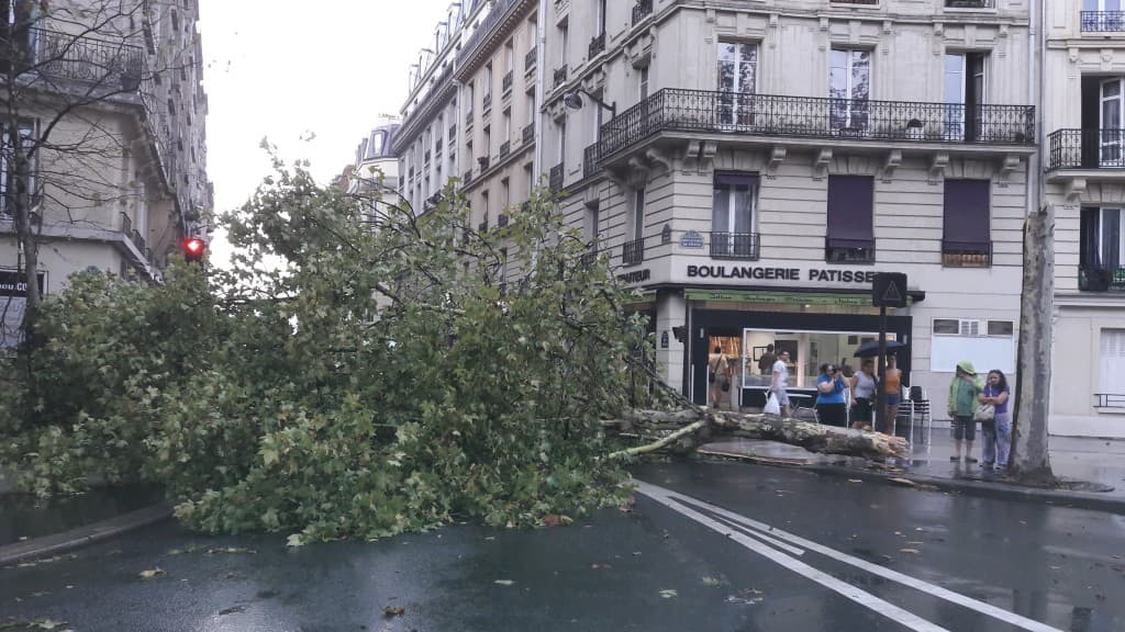 Tempête à Paris 12