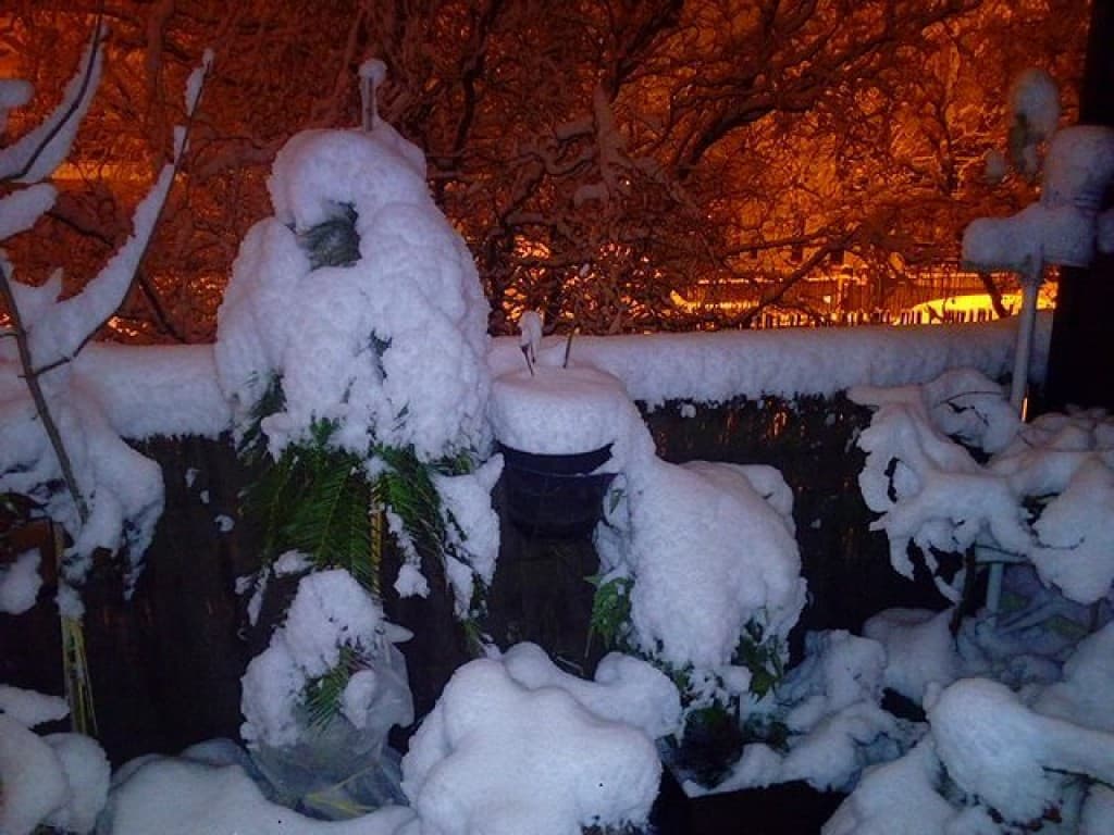 terrasse enneigée