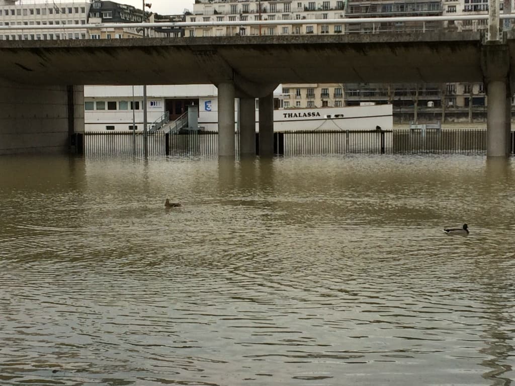 Thalassa vogue bientôt dans le parc