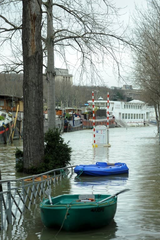 Vedettes de Paris
