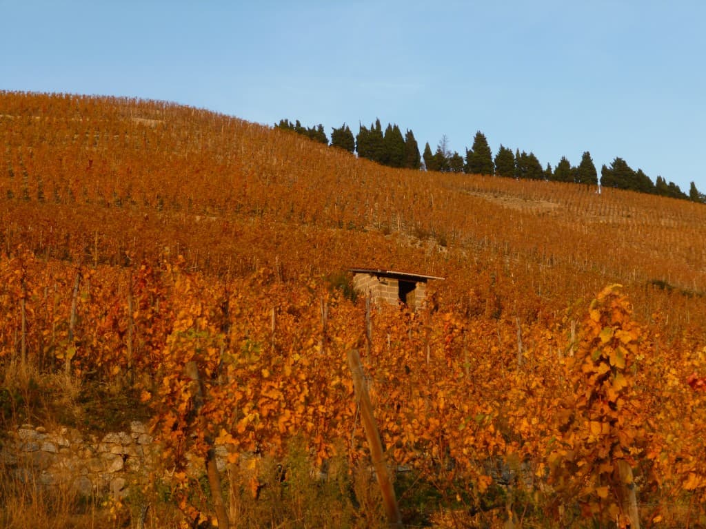 vignobles de l'Hermitage