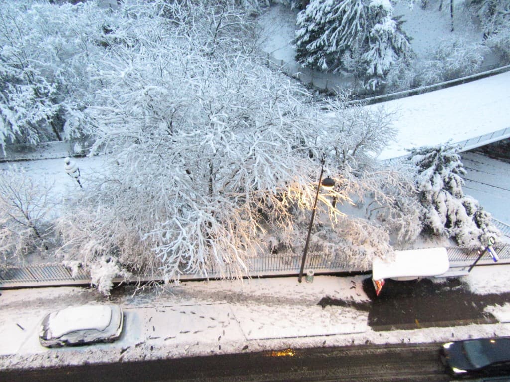 voiture sous couverture blanche
