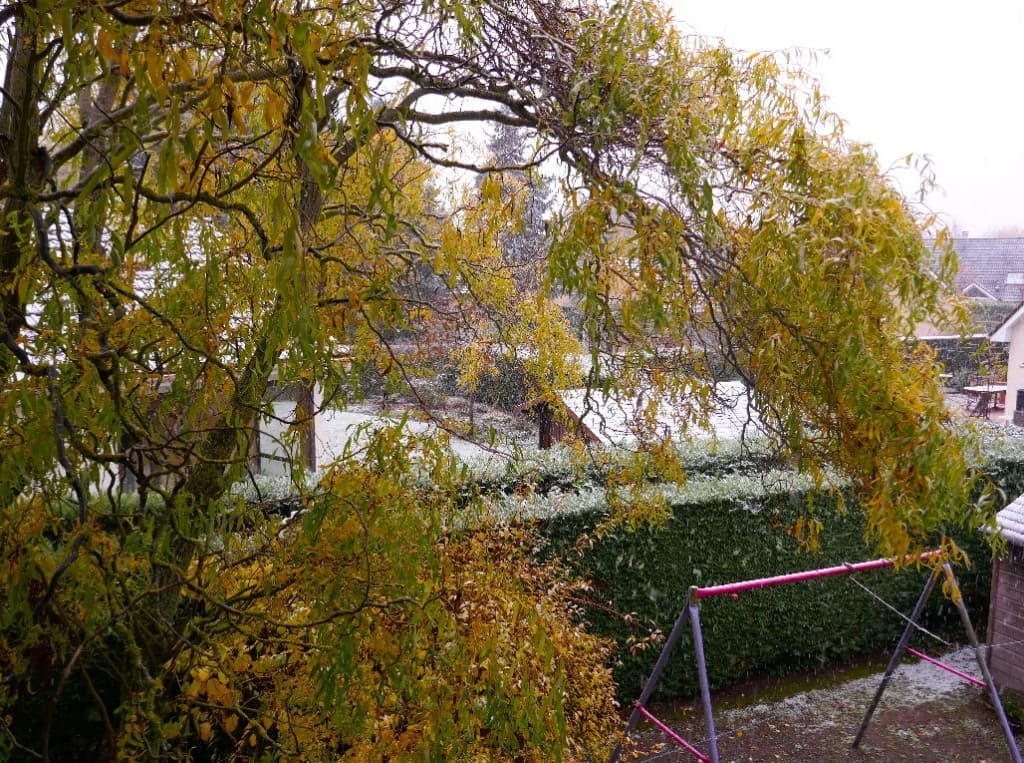 15 novembre : première neige