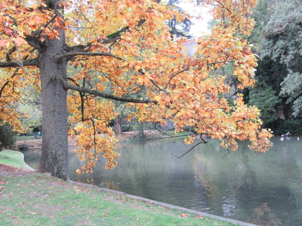 automne sur le lac