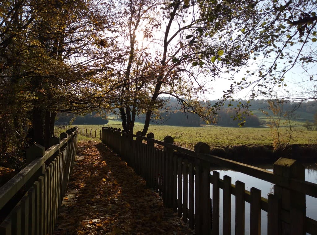 Belle après midi d'automne