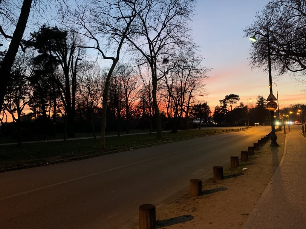 Bois de Boulogne 29/12/19 wt
