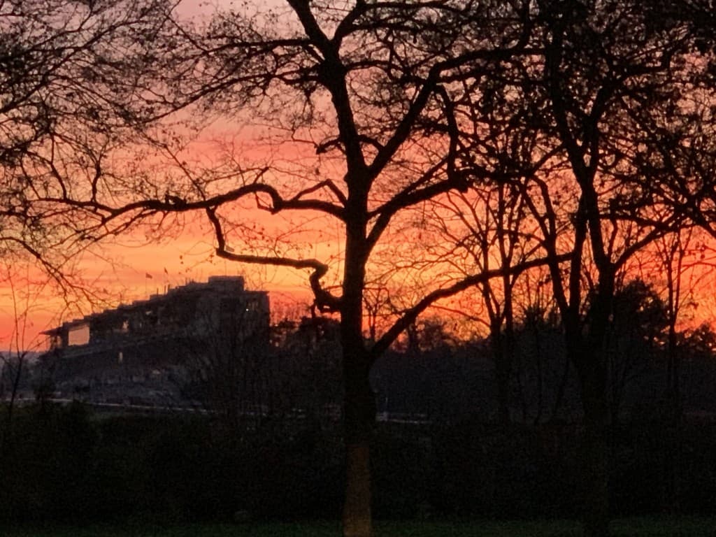 Bois de Boulogne 29/12/19 wt