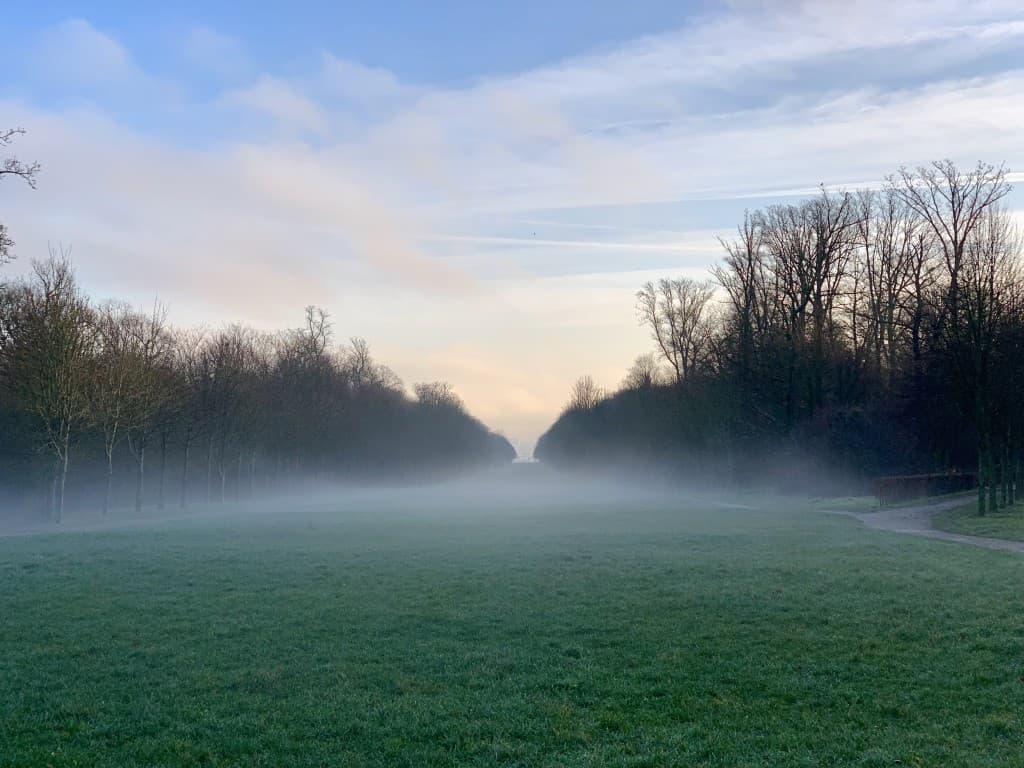 Brume matinale