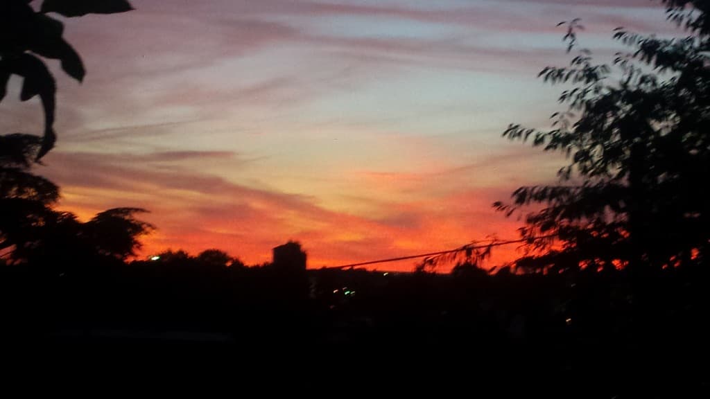 Champigny sur Marne flamboyant